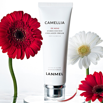 프로젝트 이미지